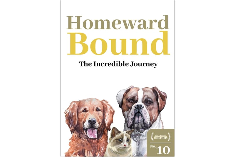 At number ten on our list of sad dog movies, we have a family-friendly Disney hit that most people will have heard. Homeward Bound: The Incredible Journey is a heartwarming story of two dogs and a cat, whose owners go on holiday without them. Trouble is, they believe they’ve been abandoned and set out on a long, treacherous journey to be reunited with them.