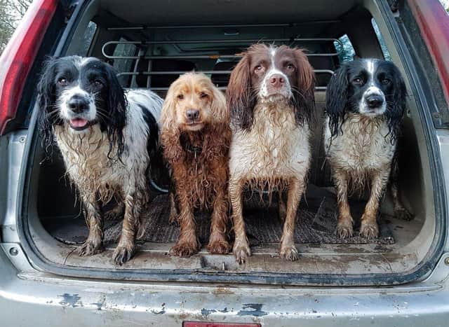 Yappy.com are currently on the lookout to find Edinburgh's dirtiest dogs after new research reveals that owners are spending up to £1000 in clean up and damage repair.