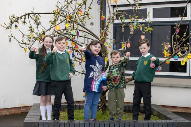 Dandara helped Loanhead Primary make an Easter Tree with the donation.