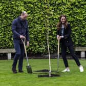 Prince William and Kate planted the first tree for the St Andrews Forest, one of the key initiatives in the university’s action plan to become carbon neutral by 2035 (Picture: Andy Buchanan/PA)