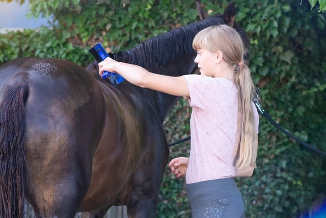 Just a short drive away from Edinburgh city centre is Craigie's Farm, where you and your little ones can meet sheep, Shetland ponies, guinea pigs and other furry friends. The South Queensferry farm holds Animal Handing and Feeding experiences as well as pony grooming sessions for children.