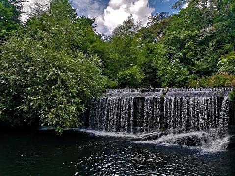One of the best places to see the seasons change, and nature in all its glory - from plants to insects, otters and herons. The Water of Leith is teeming with life.