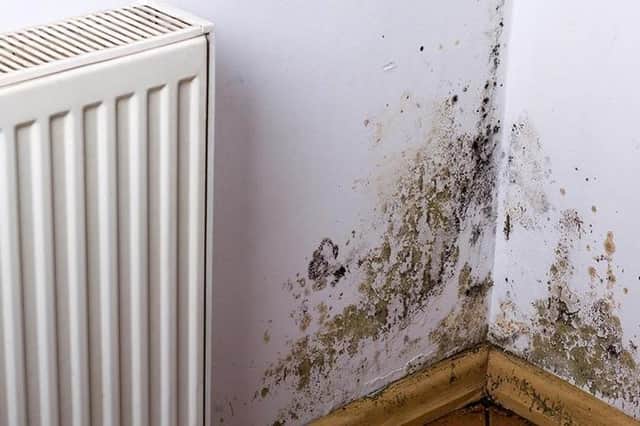 The motion also makes specific reference to damp, which has been a common cause of complaints among council housing tenants in Edinburgh for some time.