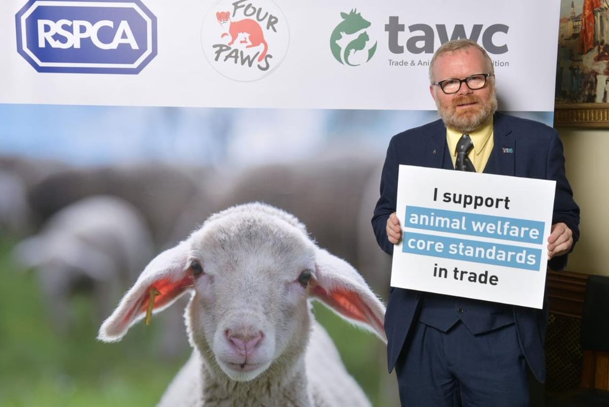 Linlithgow and East Falkirk MP supports call for core animal welfare  standards in UK trade policy | Edinburgh News