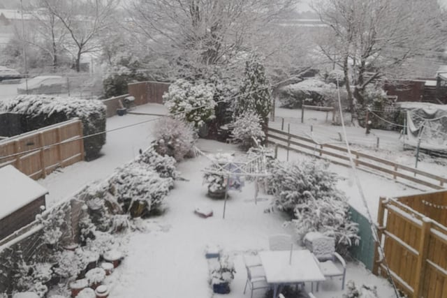 Kareen Dallas shared this photo of a garden completely blanketed by snow