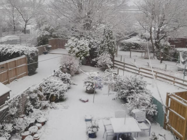 Kareen Dallas shared this photo of a garden completely blanketed by snow