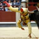 Bullfights have been called off because of the Covid-19 lockdown in Spain (Picture: AP Photo/EFE, Kote Rodrigo)