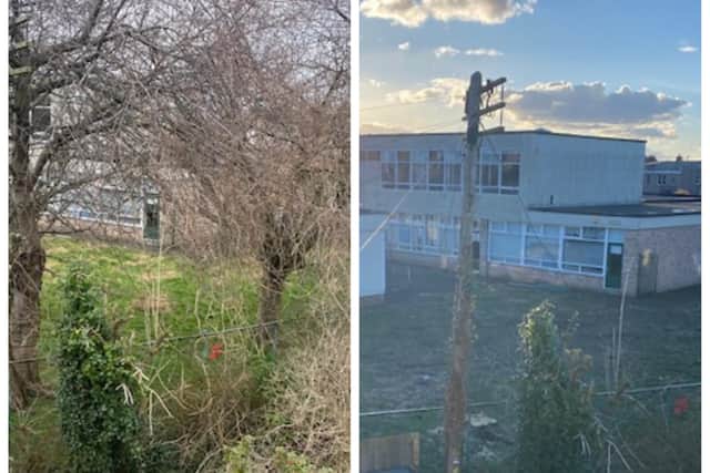 Trees which might have helped screen the new development - which will be built on the site of the former St Crispin's special school - from existing homes have been removed