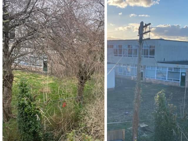 Trees which might have helped screen the new development - which will be built on the site of the former St Crispin's special school - from existing homes have been removed