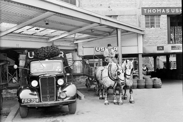 Usher's Brewery's Grey Percheron horses  pulling  a dray delivering beer to a bar in George Street in May 1960.