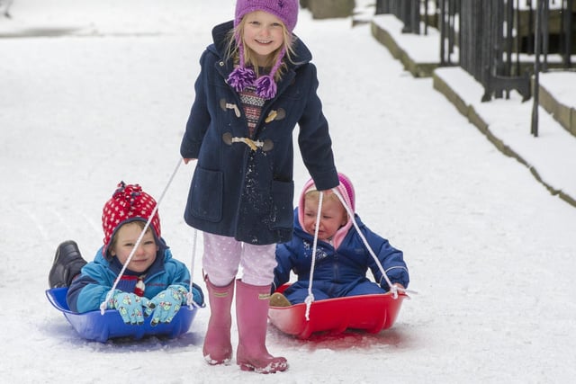 A wee Edinburgh local pulled her brother and sister along on their sledges in Northumberland Street, Edinburgh.