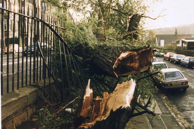 There were heavy storms in November 1996, resulting in trees being damaged on London Road.