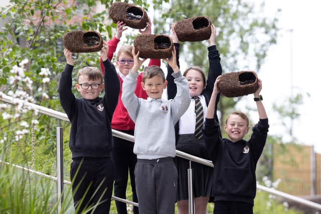 Danderhall Primary School pupils with the birds nests donated by Dandara.