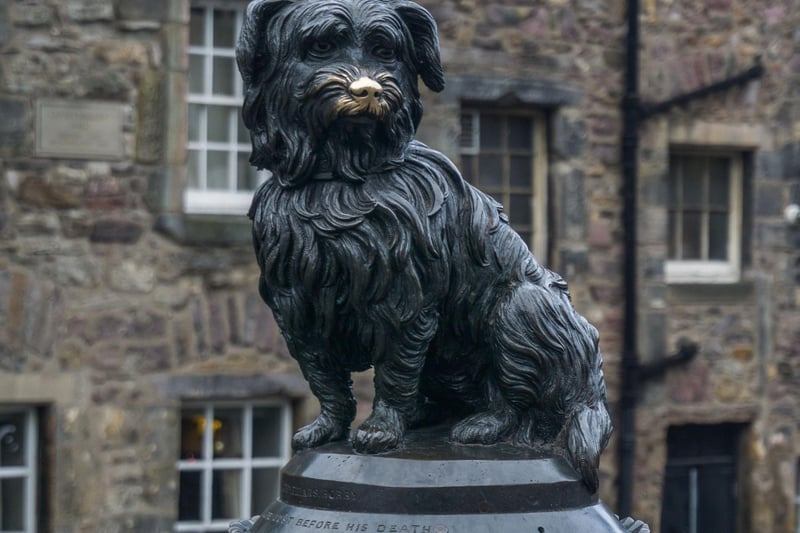 One of Edinburgh’s most famous stories, the 1961 production of Greyfriars Bobby tells the story of the loyal terrier who travelled to Edinburgh with Auld Jock - a Shepard who worked on the farm where Bobby lived. Filmed at both Shepperton Studios and on location in Edinburgh, there are some great scene capturing the capital - including a memorable scene at Edinburgh Castle