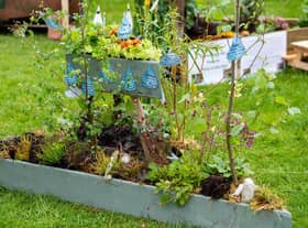 Bun Sgoil Stafainn of Portree's 'Wetlands of Wonder' was awarded the prize for Best Garden in the One Planet Picnic theme in 2019