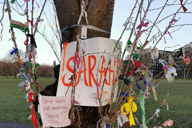 "Sarah's tree", Jawbone Walk, Meadows (Photo: Alex Orr).