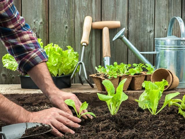 Are you thinking about trying out some gardening? (Photo: Shutterstock)