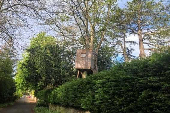 The tree house in Eskbank.