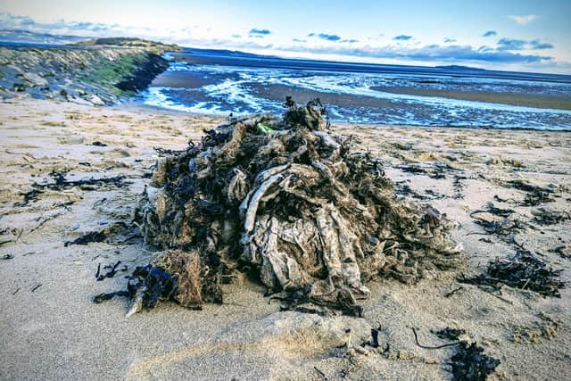 More than 35,000 sewage-related items were picked off Scottish shorelines during beach cleans last year, according to the Marine Conservation Society