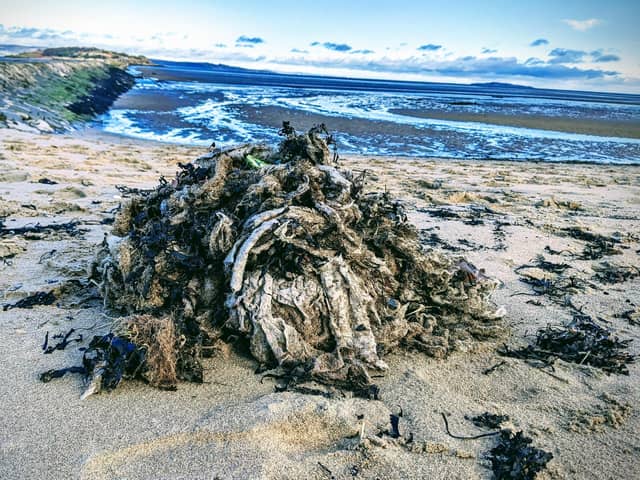 More than 35,000 sewage-related items were picked off Scottish shorelines during beach cleans last year, according to the Marine Conservation Society