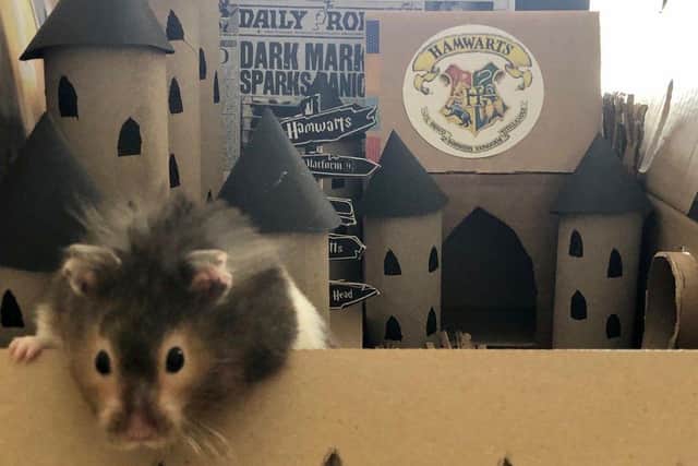 Lisa - a former graphic designer - tweaked the logos - turning the pub from Coronation Street into the 'Rodent's Return' and Hogwarts into 'Hamwarts'.