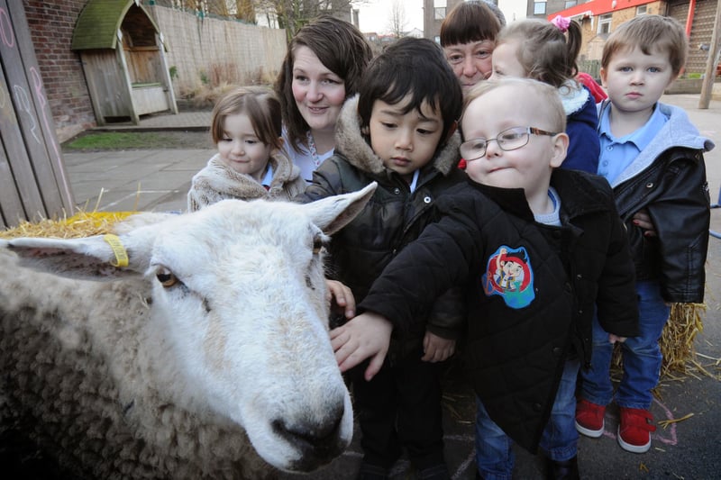 Youngsters at Millfield Community Nursery School had the opportunity to meet 'Molly' the sheep as part of the nursery marking the Chinese New Year, in 2015. Who do you recognise in this photo?