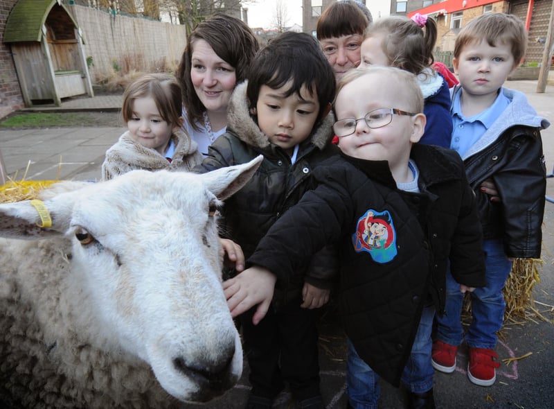 Youngsters at Millfield Community Nursery School had the opportunity to meet 'Molly' the sheep as part of the nursery marking the Chinese New Year, in 2015. Who do you recognise in this photo?