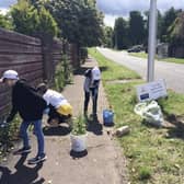 Community weeding in Balerno after residents persuaded Ediburgh council to stop using chemical weedkillers there.