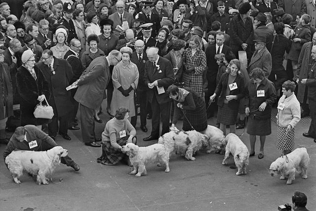 On several occasions, the Queen or her staff have been injured by the corgis. In 1954, the palace clock winder, Leonard Hubbard, was bitten by Susan upon entering the nursery at the Windsor. Later in the same year, one of the Queen Mother's Corgis bit a policeman on guard duty in London.