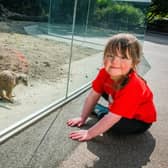 Edinburgh Royal Hospital for Children and Young People patient Rosa Carter with the Edinburgh Zoo meerkats. (Photo: Chris Watt Photography)