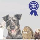 Did your pet make the shortlist in our Top Pet competition?