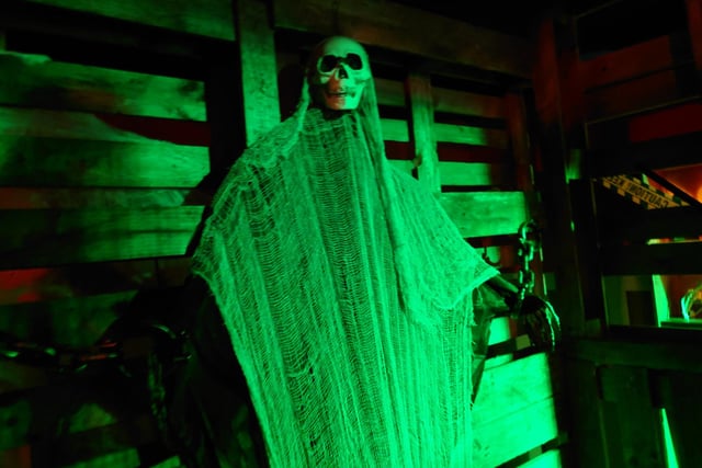 Just one of the spooky finds in the Dark Forest Maze, where visitors were pounced upon by Halloween characters as they made their way to the end.