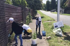 Volunteers help clear the weeds in Balerno, where the withdrawal of glyphosate has led to increased biodiversity and a reduction in chronic health conditions, according to locals