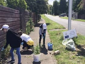 Volunteers help clear the weeds in Balerno, where the withdrawal of glyphosate has led to increased biodiversity and a reduction in chronic health conditions, according to locals