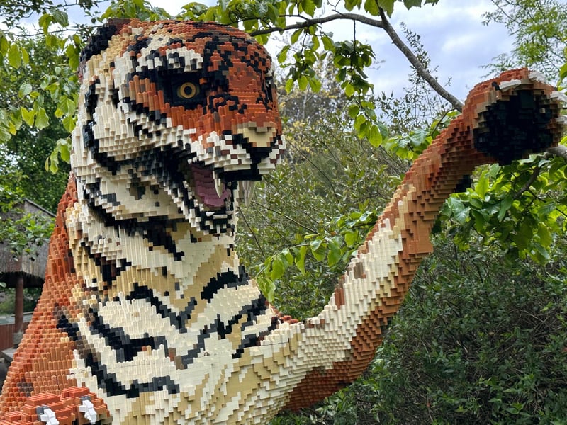 The Bengal Tiger weighs in at 520kg - more than twice the weight of an adult male tiger. Constructed from 81,350 bricks, it took three builders 392 hours to complete