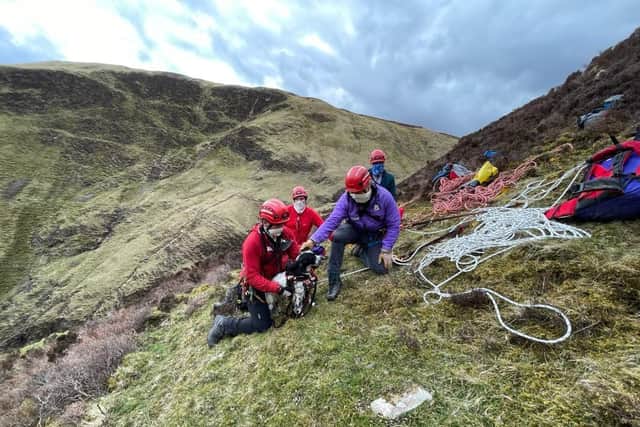 A Springer Spaniel puppy had to be saved by mountain rescuers after falling 300ft down a waterfall.