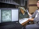 Senior conservator Lesley Stevenson views Head of a Peasant Woman alongside an x-ray image of the hidden van Gogh self-portrait (Picture: Neil Hannah/PA Wire)