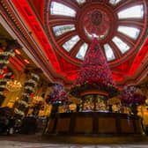 The Dome on George Street, Edinburgh, has been named the best place in the UK to enjoy afternoon tea. It is pictured in December 2020 with its popular Christmas decorations lighting up the venue. Photo by Lisa Ferguson.





COVID19, CORONA VIRUS - General Manager Steve Hall of The Dome, Edinburgh shows us theis years Christmas decorations.  They hoping restrictions are eased soon and can re-open hopefully soon and before CHristmas