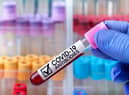Immunity to Covid-19 may reduce over time, just like it does with other illnesses (Shutterstock)