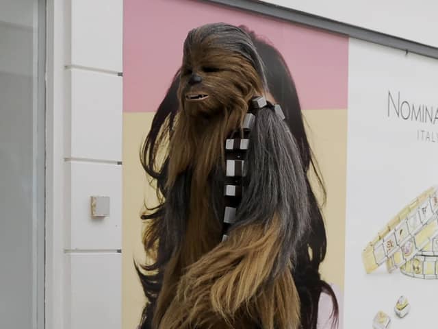 This may or may not be Chewbacca the Wookie, Susan Morrison or someone else entirely, it's hard to say (Picture: Michael Gillen)
