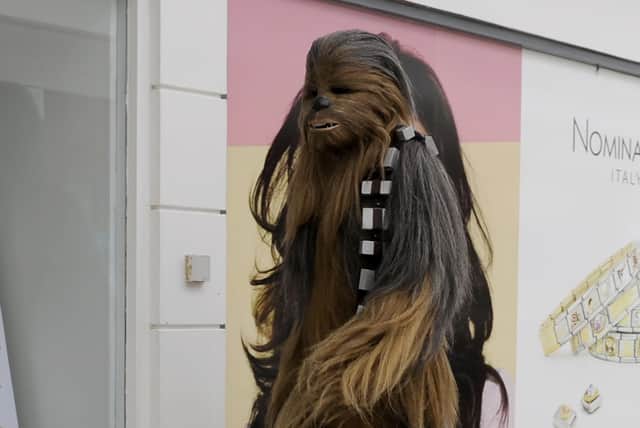This may or may not be Chewbacca the Wookie, Susan Morrison or someone else entirely, it's hard to say (Picture: Michael Gillen)