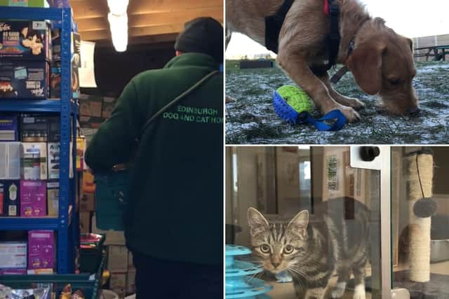 Edinburgh cat and dog home: Local animal charity will not be closing its doors for now after surge in donations