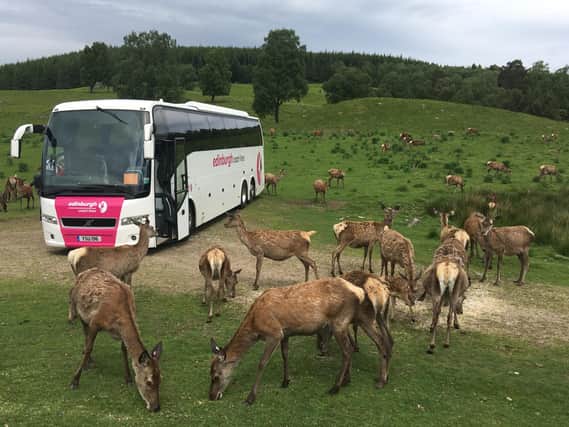 Edinburgh Coach Lines provides coaches for many foreign tour groups visiting Scotland