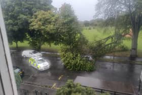Edinburgh Police were seen arriving to Hermitage Place in Leith, after a car was crushed by a fallen tree.