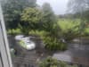Edinburgh weather: Strong winds bring tree down on car in Leith as Hurricane Ian hits Scotland