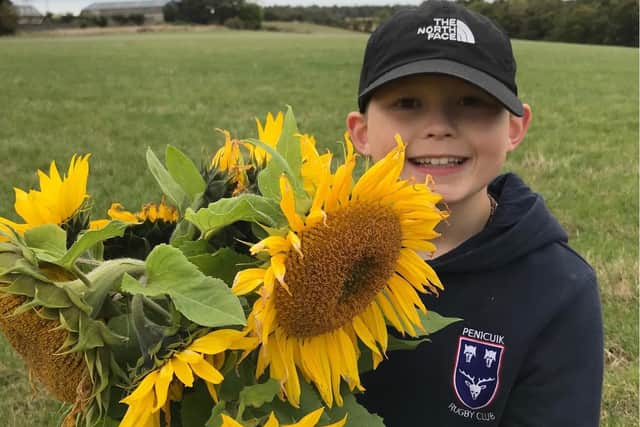 Teenager Arran from Penicuik with one of his sunflowers.