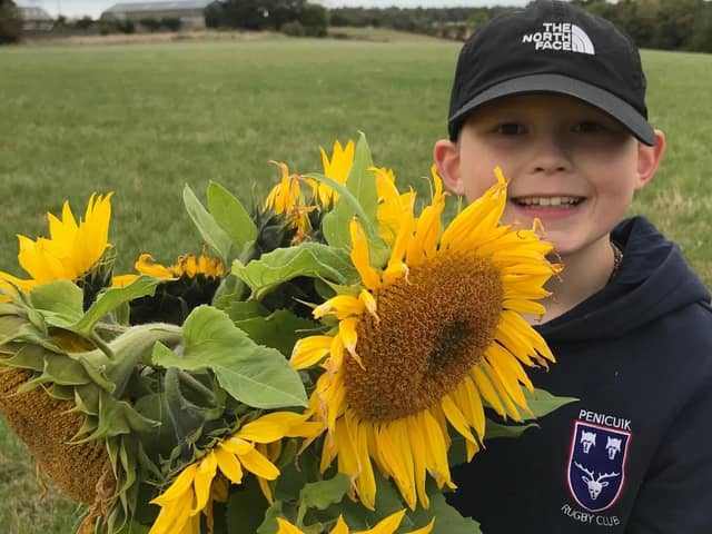 Teenager Arran from Penicuik with one of his sunflowers.