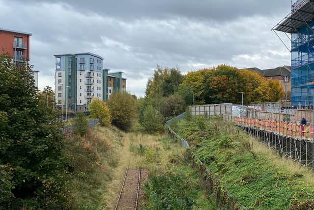 Disused rail line could be a green wilderness in the city