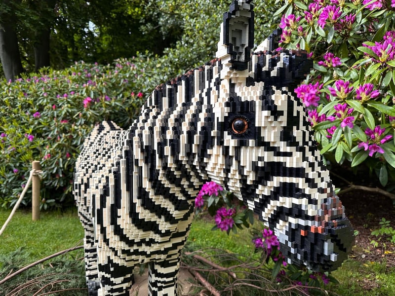 This Zebra sculpture has found a lovely spot where it can enjoy the beautiful plants and trees at the zoo. The model took 250 hours to build and 29,608 bricks were used to make this incredible artwork