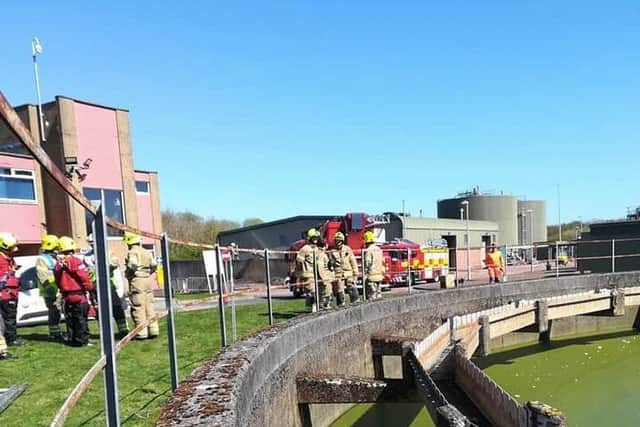 Around 15 fire fighters were on hand to rescue swans from a disused sewage works.
